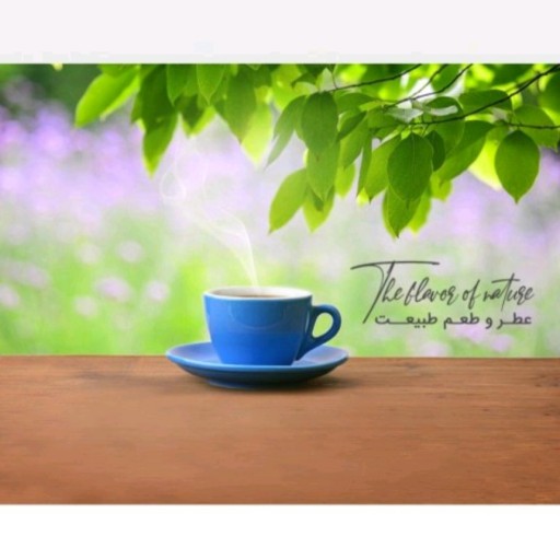 چای شیر ماسالا( 400گرم) آنلاین استور