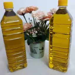 روغن زیتون رشت