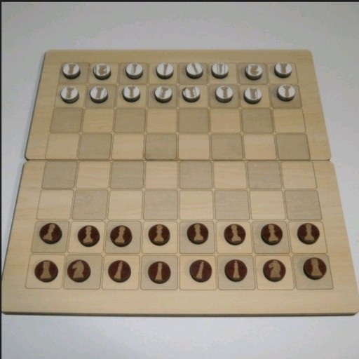 شطرنج دو حالته کد145