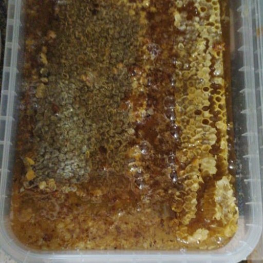 عسل طبیعی شولیز با موم