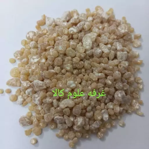 مصطکی اصل با کیفیت و مدل دو در غرفه علوم کالا(50 گرمی)