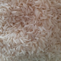 برنج هاشمی گیلان درجه یک ممتاز بِه کالا 25 کیلویی