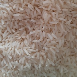 برنج هاشمی گیلان درجه یک ممتاز بِه کالا 50 کیلویی
