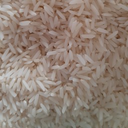 برنج هاشمی گیلان درجه یک ممتاز بِه کالا 2000 گرمی