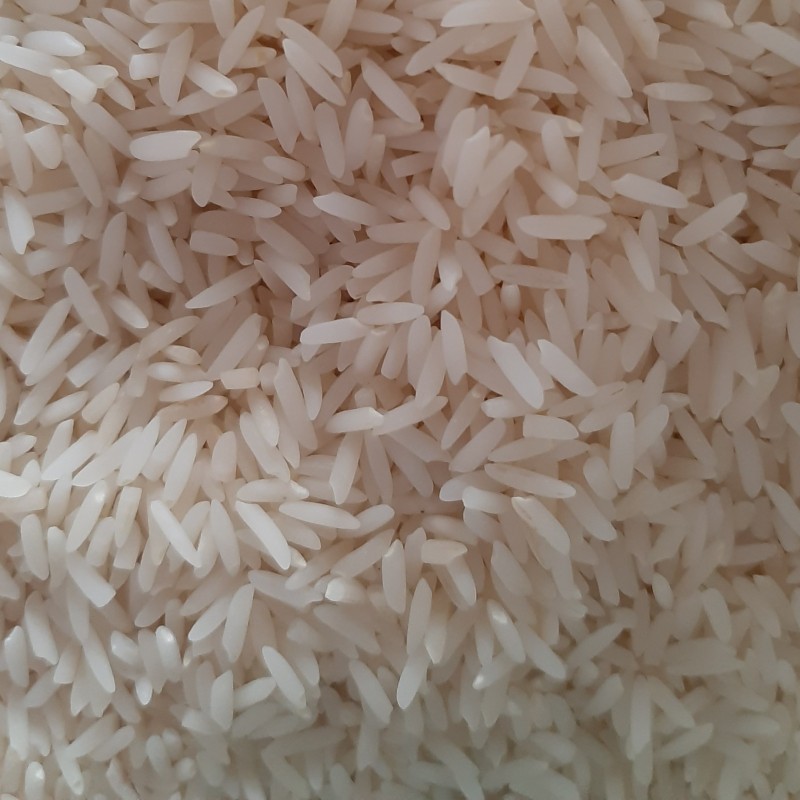 برنج هاشمی گیلان درجه یک بسته 10 کیلویی