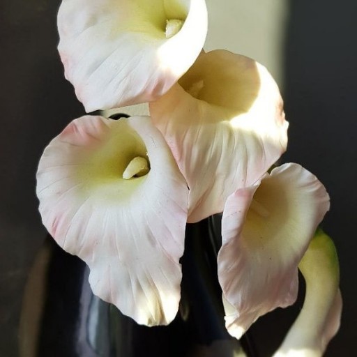 گل شیپوری با خمیر منعطف