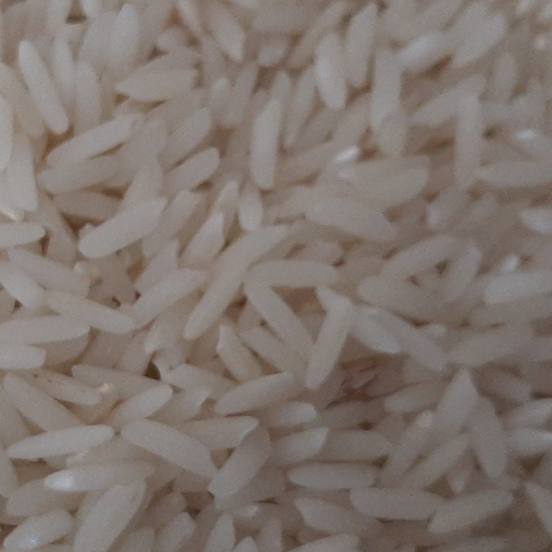 برنج محلی هاشمی استانه اشرفیه