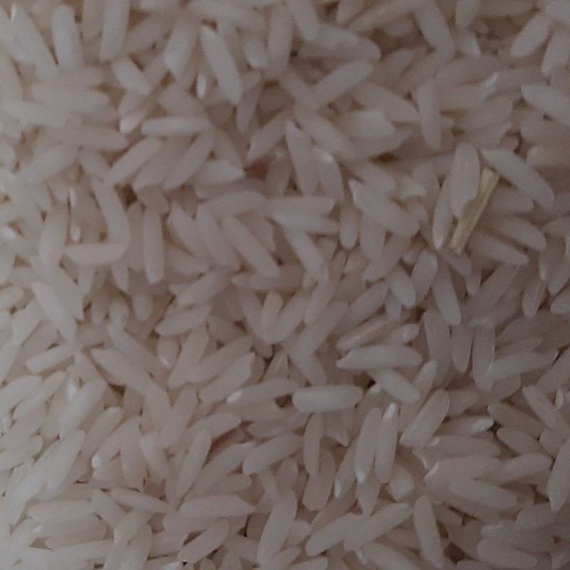 برنج محلی هاشمی استانه اشرفیه