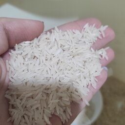 برنج شمال کیفیت عالی و خوش پخت 