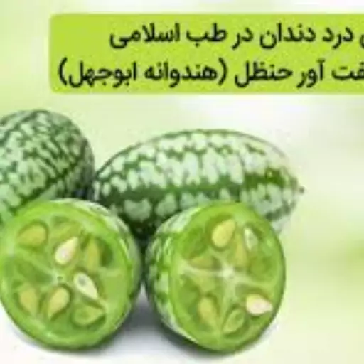 روغن حنظله عاشق بهار (هندوانه ابوجهل یا حنظل) درجه یک