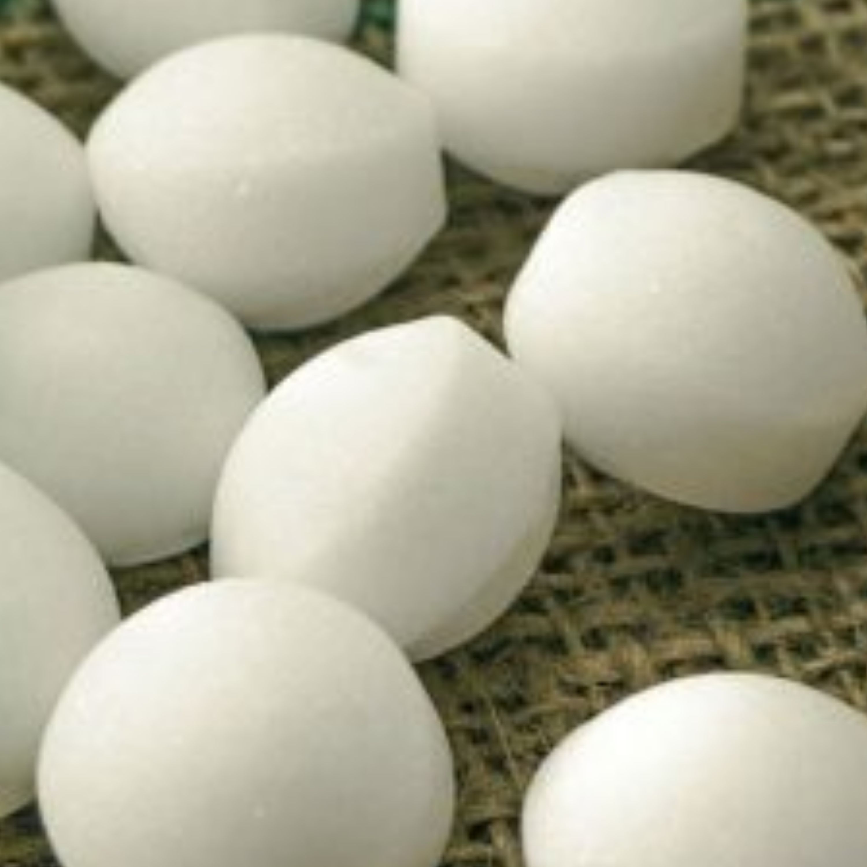 نفتالین اعلا 100 گرم ضد بید