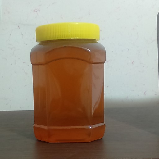 عسل گون-آویشن 1 کیلویی