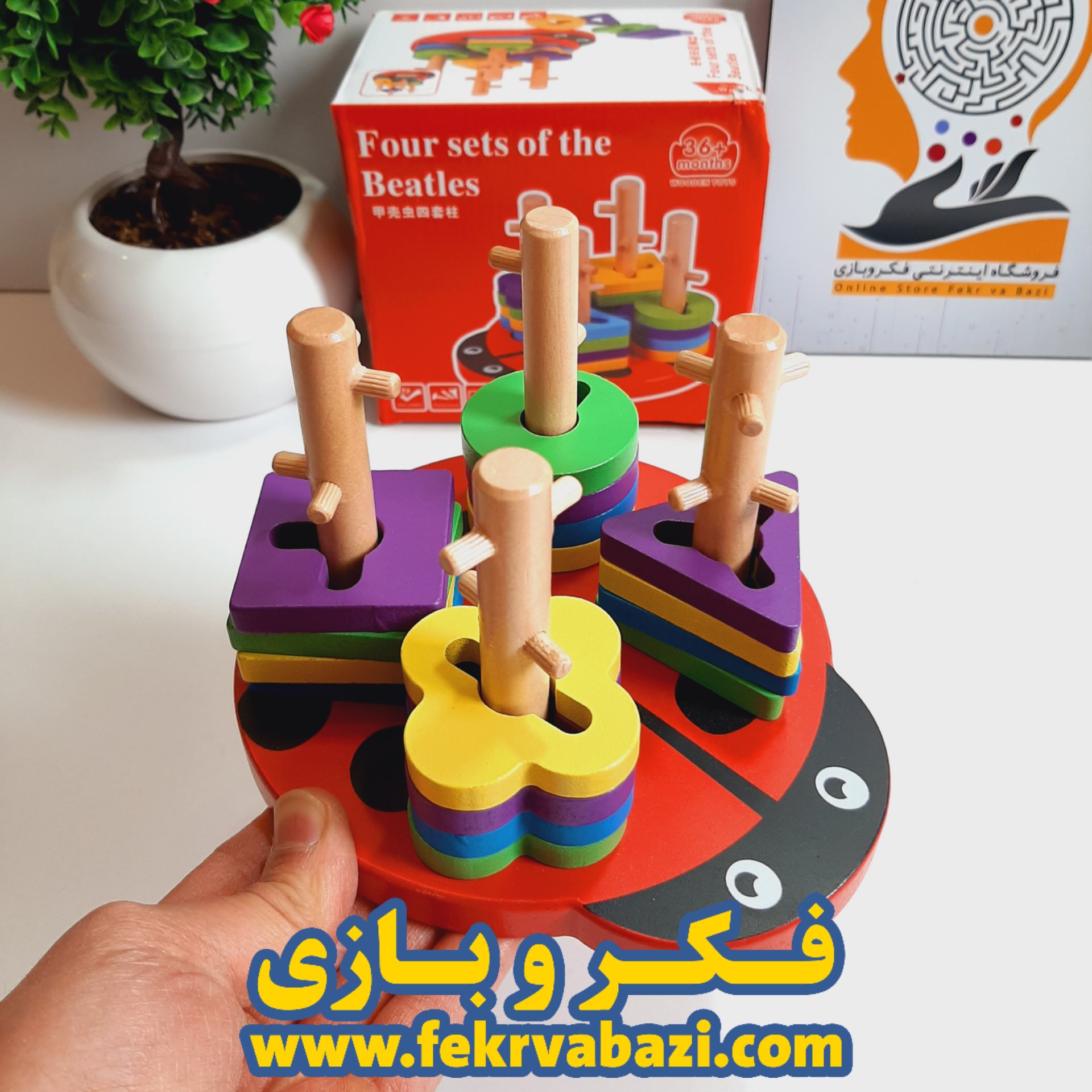 بازی مونته سوری کفشدوزک