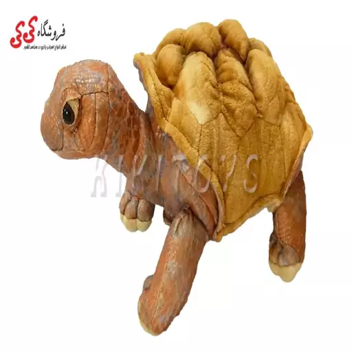 اسباب بازی عروسک لاک پشت پولیشی اورجینال Turtle Doll RG15401