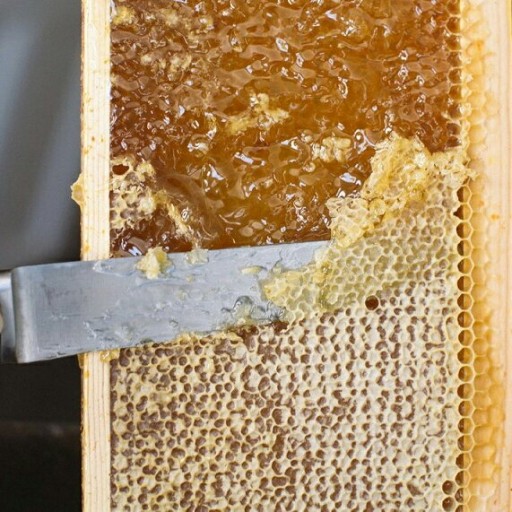 انواع عسل طبیعی با ساکارز بین 2/7 تا 3درصد و تضمین بازگشت وجه