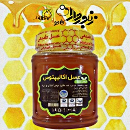 عسل اکالیپتوس (یک کیلوگرم)