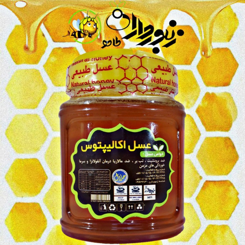 عسل اکالیپتوس (یک کیلوگرم)