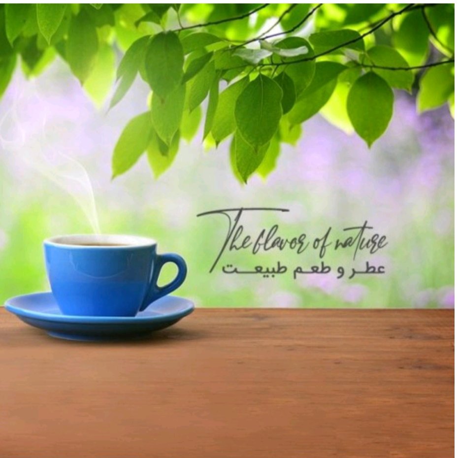 چای سفید و سبز 100گرمی آقای چای