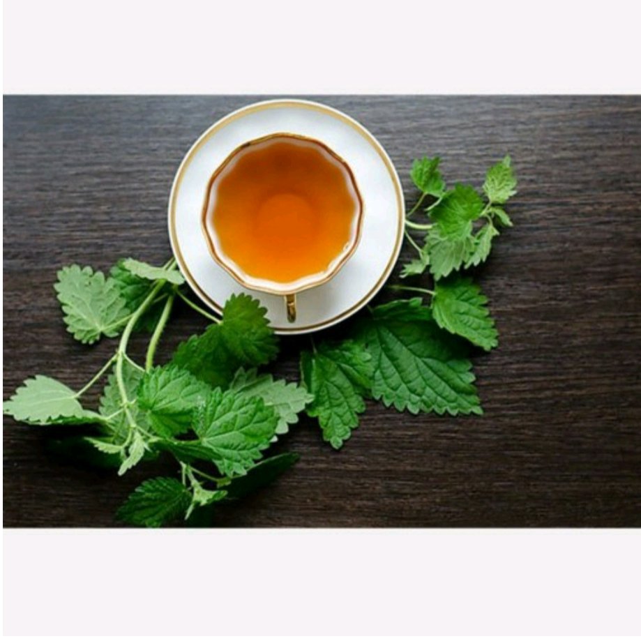 دمنوش مخلوط دیابتی گزنه آقای چای