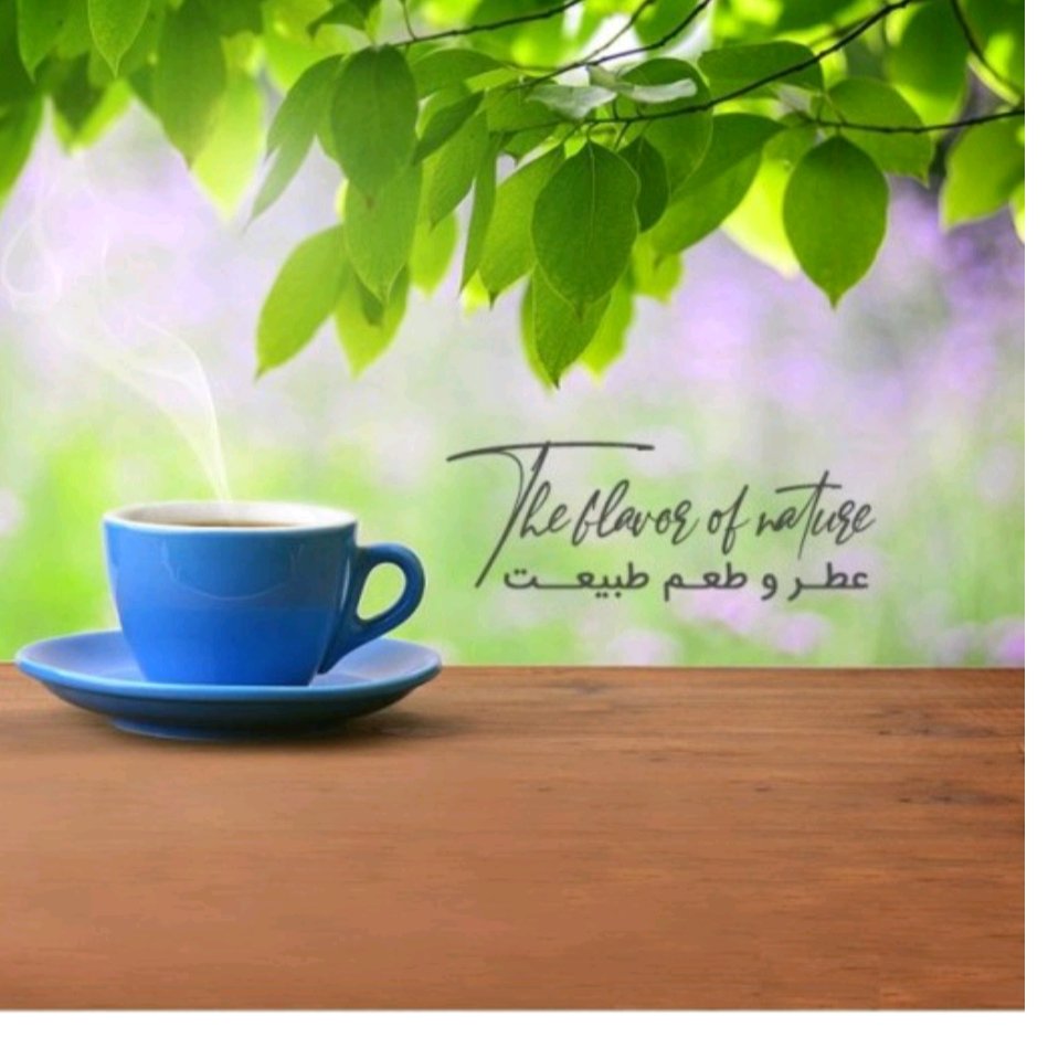چای گل چای 6 عددی آقای چای