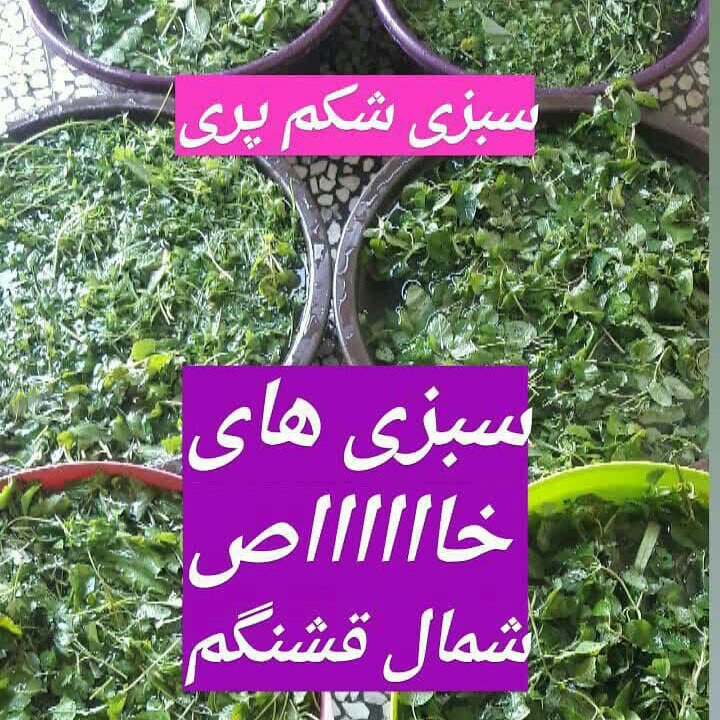 سبزی شکم پری شمال