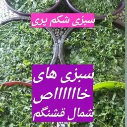 سبزی شکم پری شمال