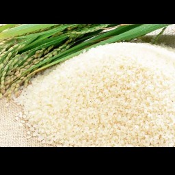 برنج ریز دانه طارم درجه یک شمال با کیفیت عالی