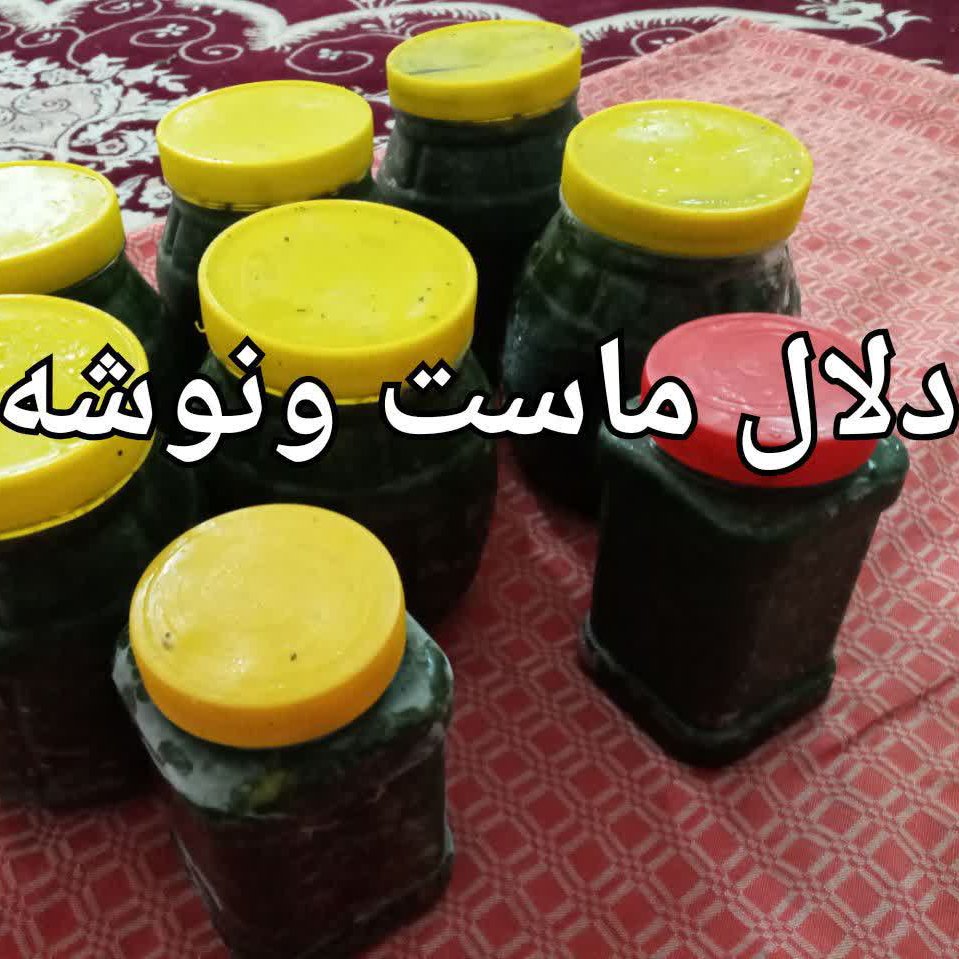 دلال ماست پر سیر  ناب شمال یا دلار یا نمک سبز 