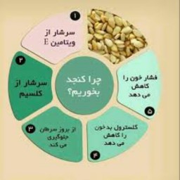 بسته خانم نوردی 20عددنان 10عدد کلوچه دو بسته رب