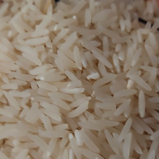 برنج شمال ایرانی