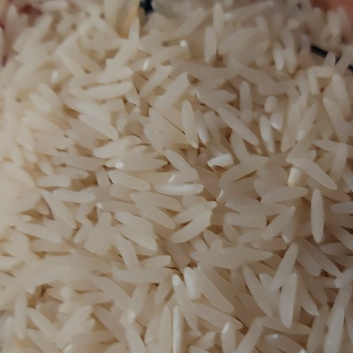 برنج شمال ایرانی
