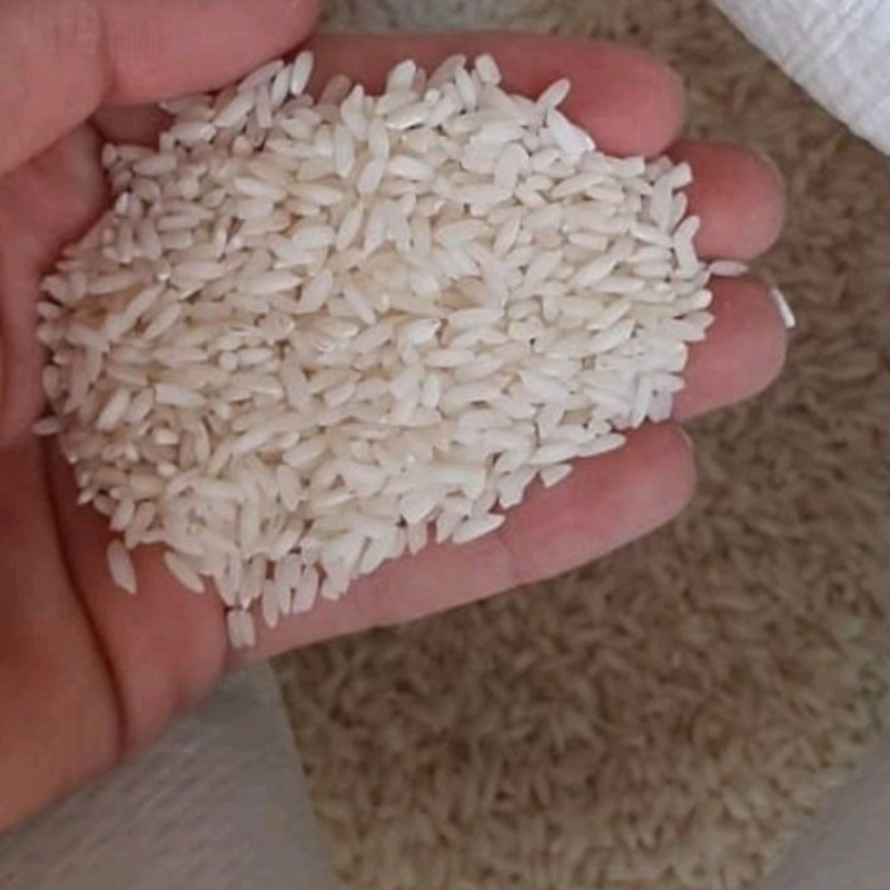 برنج عنبربو

10 کیلویی
