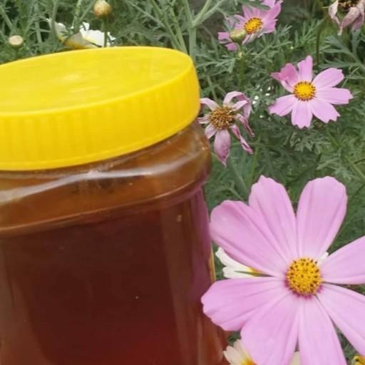 عسل یک کیلویی طبیعی بشرط ازمایش