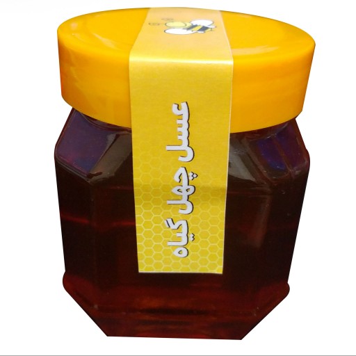 عسل چهل گیاه طبیعی 500 گرمی تولید شده از شهد گلهای دامنه اورین
