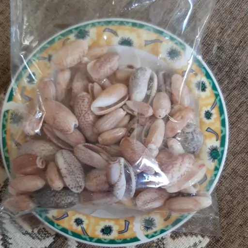 پسته ای رنگی  سایز کوچک  تعداد 80 عدد 