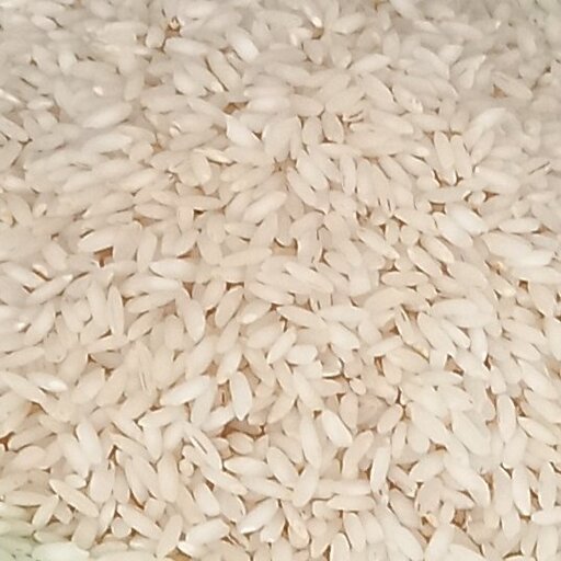 برنج چمپا  گلالک امامی شوشتر  از نوع دانه بلند (10 کیلو گرم)