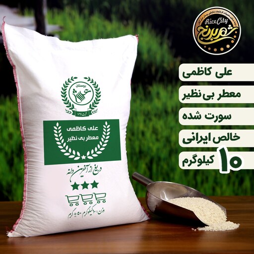 برنج علی کاظمی محلی گیلان 10 کیلویی تضمین کیفیت 