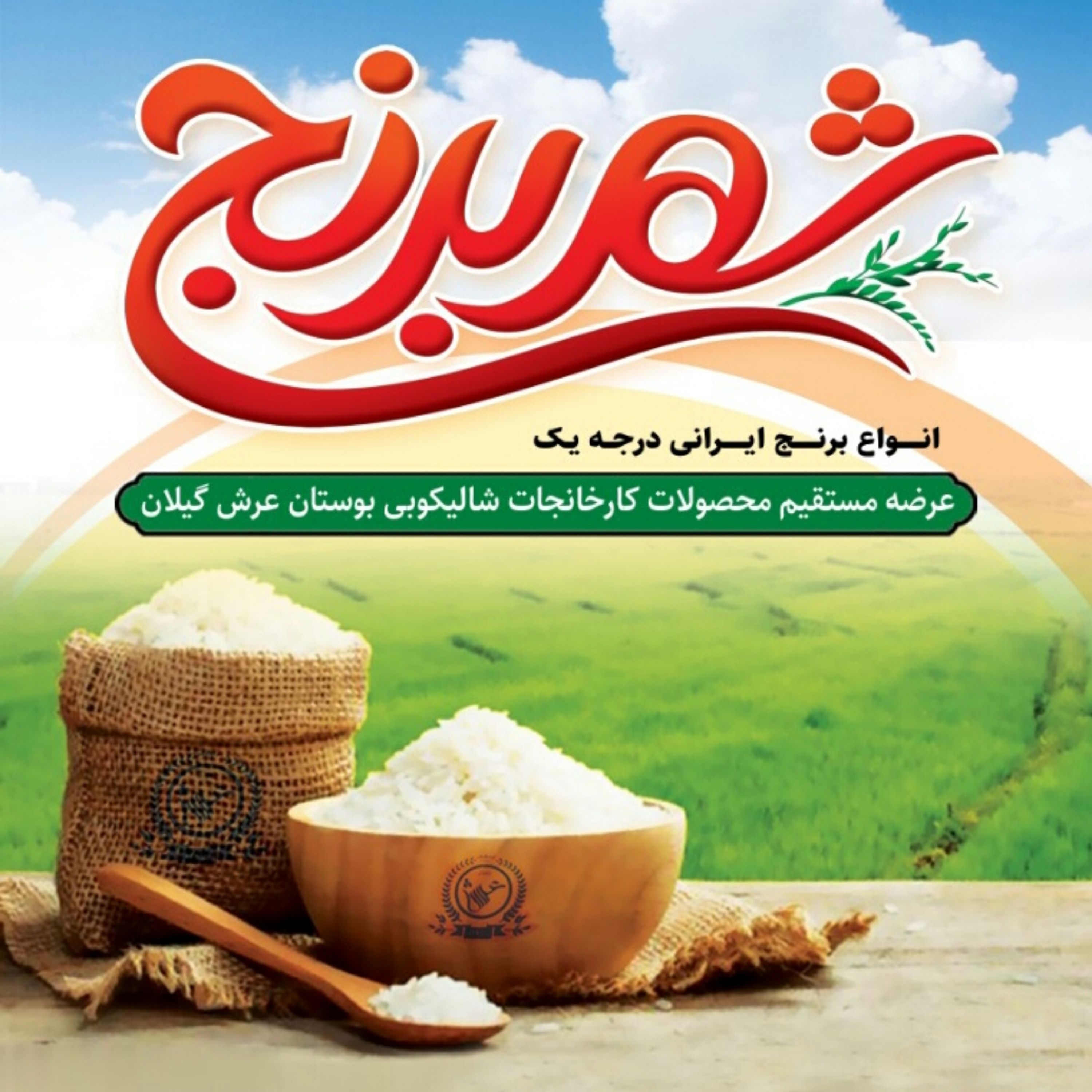 برنج دودی  هیزمی صدری عمده ( 100 کیلویی ) تضمین کیفیت 