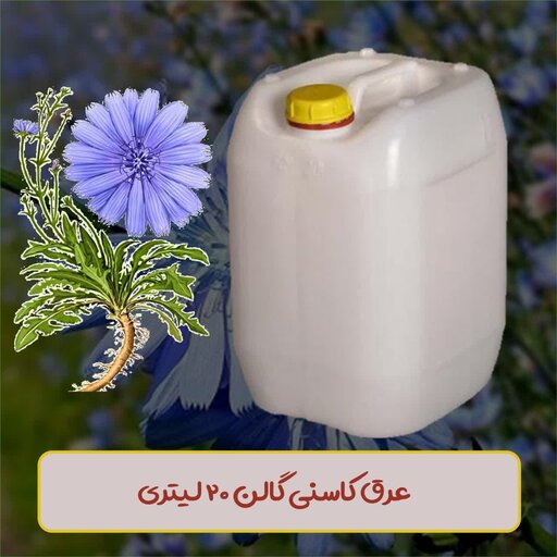 کاسنی دوآتشه گالنی ( 20 لیتری) ( ارسال رایگان )