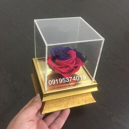 گل رز جاودان همراه با باکس رومیزی و تزئین ربان دلخواه 