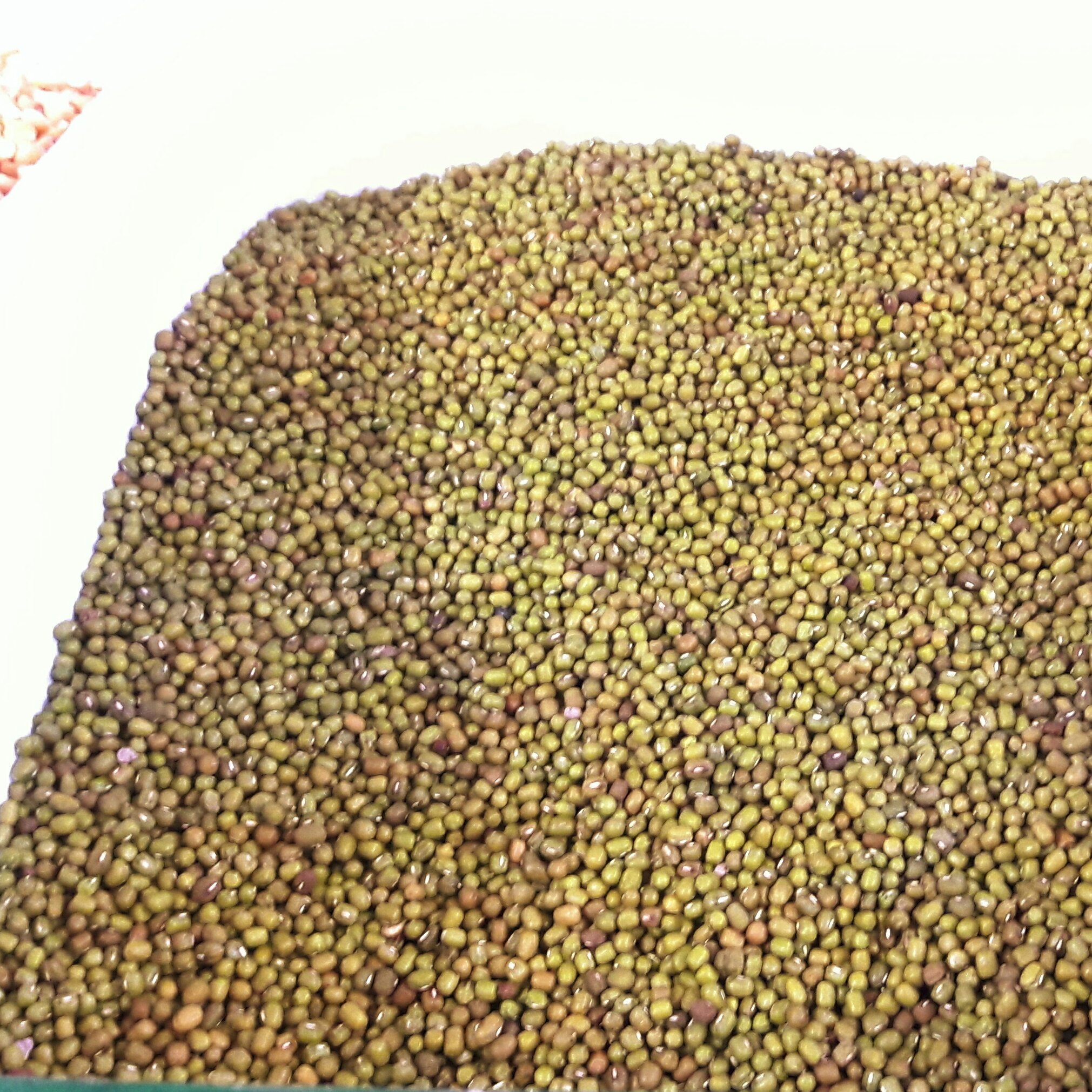 ماش سبز اعلا (نیم کیلو)