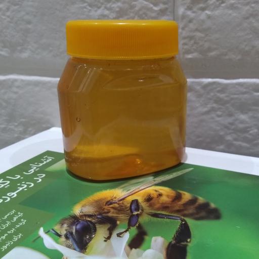 250 گرم عسل هدیه جهت نصب اولی های با سلام