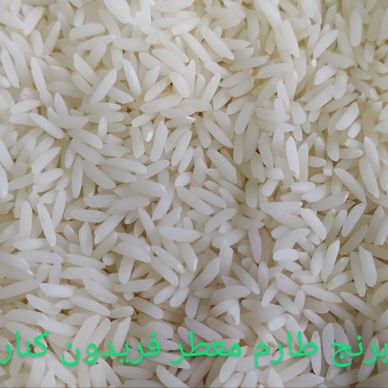 نمونه برنج 2.5ک طارم معطر   ممتاز  فریدون کنار  سید نظام
 کشت اول امسال 