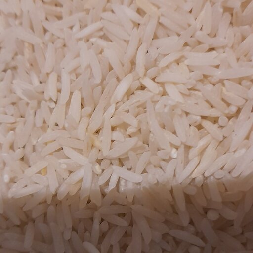برنج طارم هاشمی برنج یکدست دوبار سورت شده کیفیتی بی نظیر خوش پخت وخوش عطر در کیسه 50 کیلویی حداقل فروش 10 کیلو