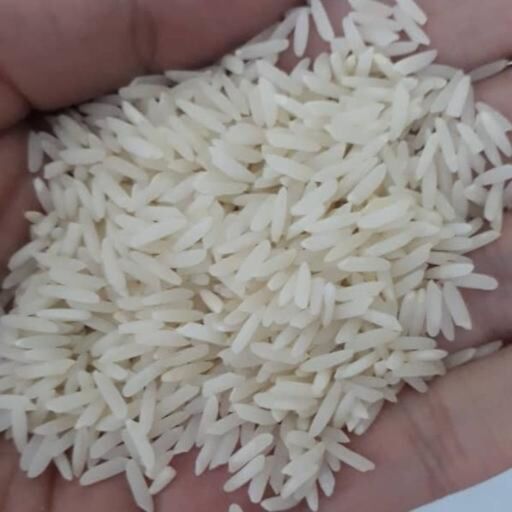 برنج هاشمی عطری محصول گیلان لنگرود  کیسه 10کیلویی