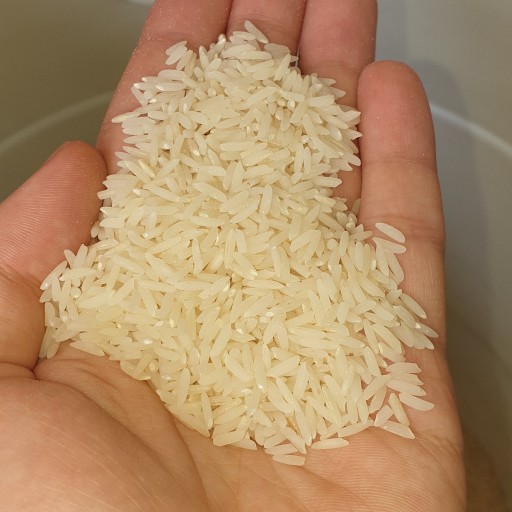 برنج هاشمی اعلا خالص