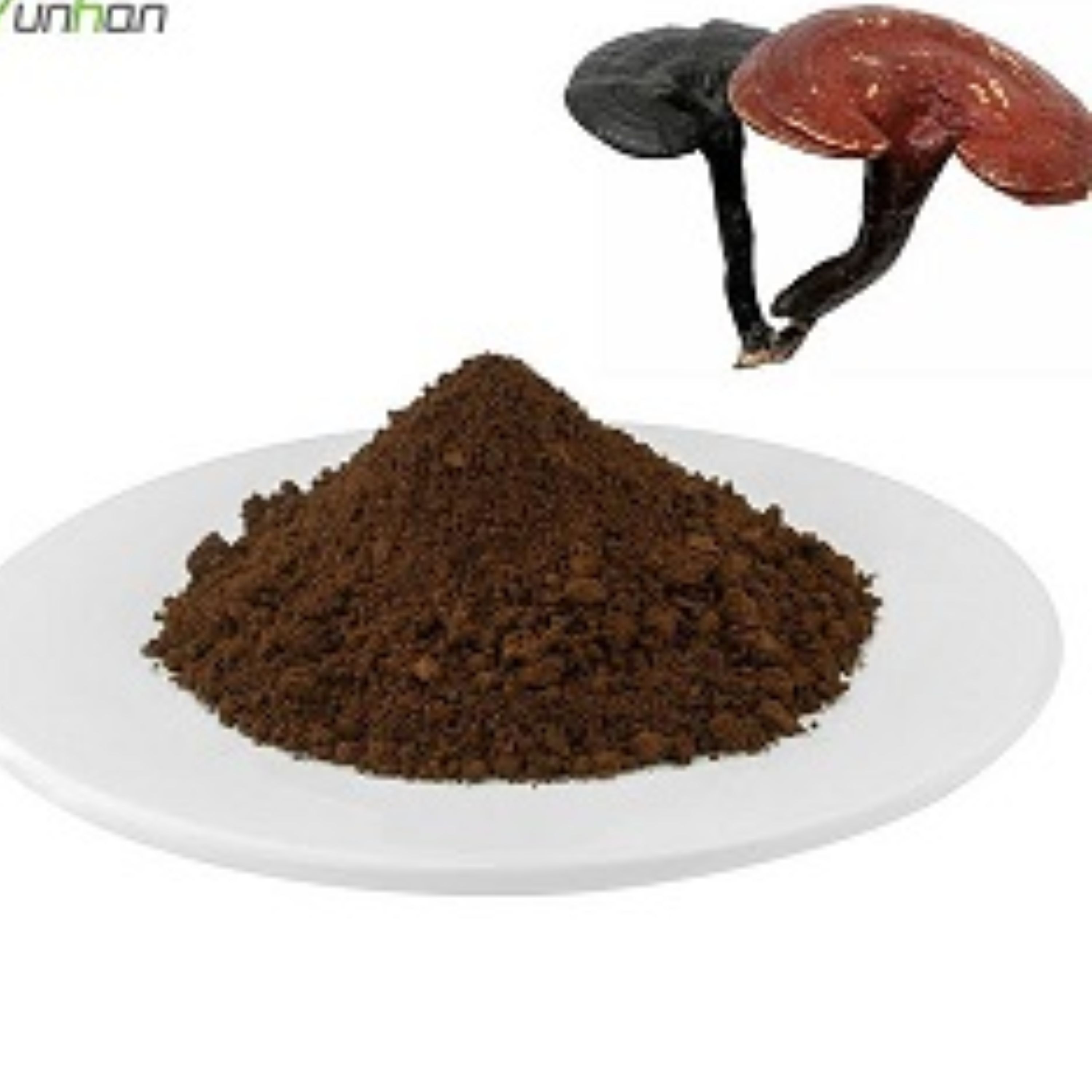 پودر خالص قارچ گانودرما اصل 25 گرمی 