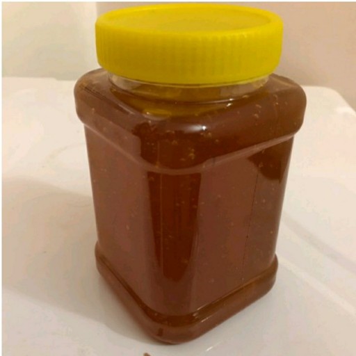 عسل گون  1 کیلوگرمی دنا