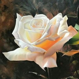 تابلو رنگروغن نقاشی  گل رز جاویدان  