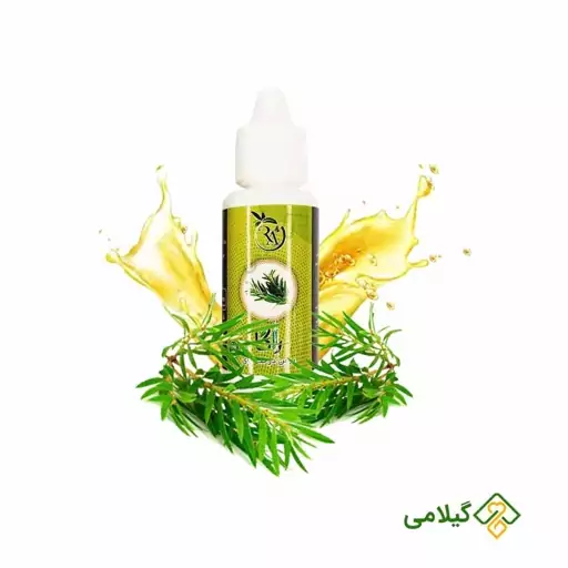 روغن درخت چای راگا فروشگاه گیلامی ( 30 میلی )